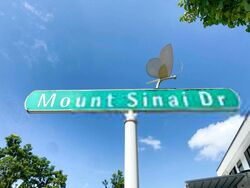 Mount Sinai (D10), Terrace #409432911
